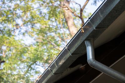 Leaf-Free Gutter System